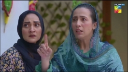 Fareb - 2nd Last Episode - 17th December 2023